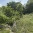  Land for sale in Koh Samui Surat Thani, Bo Phut