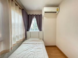 2 Schlafzimmer Appartement zu verkaufen im Casa Condo At CMU, Suthep, Mueang Chiang Mai