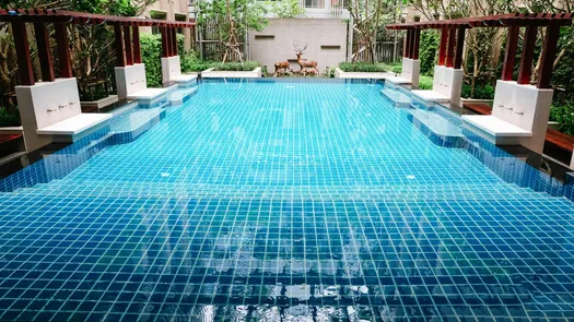 图片 1 of the 游泳池 at Amaranta Residence