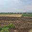  Land for sale in Mueang Phetchabun, Phetchabun, Na Yom, Mueang Phetchabun