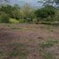  Land for sale in Turrialba, Cartago, Turrialba