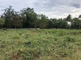  Land for sale in Krabi, Ko Lanta Yai, Ko Lanta, Krabi