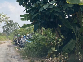 在巴吞他尼出售的 土地, Khlong Nueng, Khlong Luang, 巴吞他尼