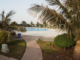 1 Bedroom Condo for sale at Yakout, Bab Al Bahar, Al Marjan Island, Ras Al-Khaimah