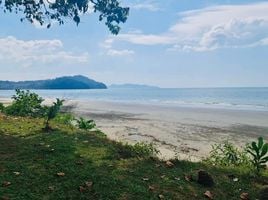  Земельный участок for sale in Mae Nang Khao, Khura Buri, Mae Nang Khao