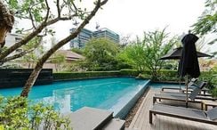 รูปถ่าย 3 of the Communal Pool at ไฮฟ์ สุขุมวิท 65