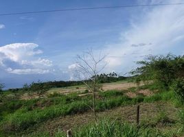  Land for sale in Cocle, Aguadulce, Aguadulce, Cocle