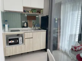 1 Schlafzimmer Appartement zu vermieten im Phyll Phuket by Central Pattana, Wichit