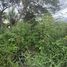  Land for sale in Chiang Mai, Han Kaeo, Hang Dong, Chiang Mai