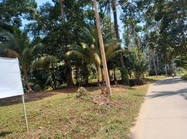  Land for sale in Surat Thani, Maret, Koh Samui, Surat Thani