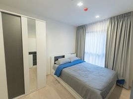 1 Schlafzimmer Appartement zu vermieten im Life Sukhumvit 48, Phra Khanong, Khlong Toei