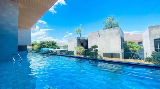 Фото 1 of the Communal Pool at The Win Condominium