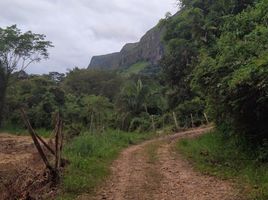  Land for sale in Cundinamarca, Nilo, Cundinamarca