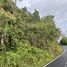  Grundstück zu verkaufen in Thalang, Phuket, Thep Krasattri, Thalang