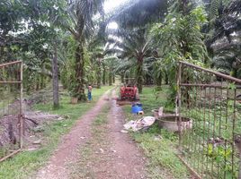  Grundstück zu verkaufen in Khura Buri, Phangnga, Bang Wan, Khura Buri