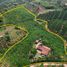  Land for sale in Caldas, Palestina, Caldas