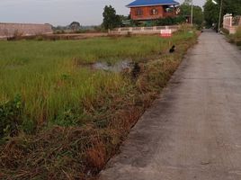  Grundstück zu verkaufen in Mueang Lop Buri, Lop Buri, Kok Ko