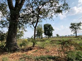  Land for sale in Khok Samrong, Lop Buri, Sakae Rap, Khok Samrong