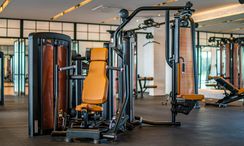 Photo 3 of the Communal Gym at STAY Wellbeing & Lifestyle
