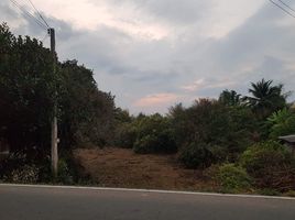  Land for sale in Pratu Pa, Mueang Lamphun, Pratu Pa