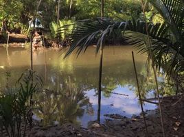  Grundstück zu verkaufen in Mueang Surat Thani, Surat Thani, Bang Sai