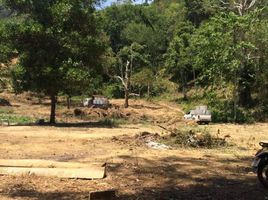  Land for sale in Ko Lanta Yai, Ko Lanta, Ko Lanta Yai