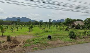 N/A Grundstück zu verkaufen in Krasom, Phangnga 