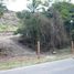  Land for sale in Cocle, El Harino, La Pintada, Cocle