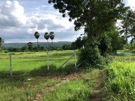  Grundstück zu verkaufen in Sikhio, Nakhon Ratchasima, Mittraphap, Sikhio