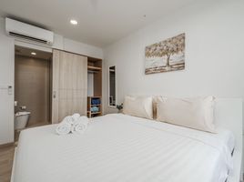 2 Schlafzimmer Appartement zu vermieten im Sky Park, Choeng Thale