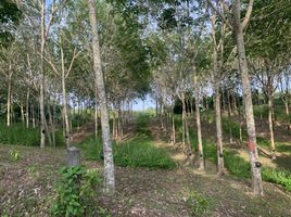  Land for sale in Layan Beach, Choeng Thale, Choeng Thale