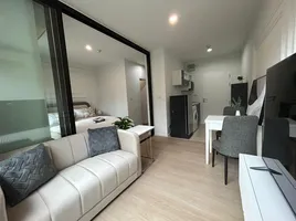 1 Bedroom Condo for rent at Zcape X2, Choeng Thale, Thalang, Phuket, Thailand