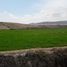  Land for sale in Peru, Mejia, Islay, Arequipa, Peru