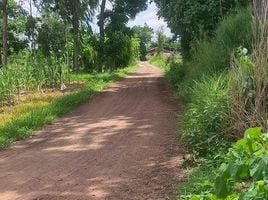  Grundstück zu verkaufen in Chakkarat, Nakhon Ratchasima, Si Lako