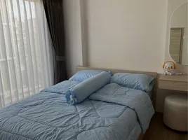 คอนโด 1 ห้องนอน ให้เช่า ในโครงการ ฟีล ภูเก็ต บาย เซนทรัล พัฒนา, วิชิต