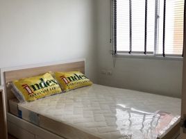 1 Schlafzimmer Wohnung zu verkaufen im My Condo Sukhumvit 81, Bang Chak
