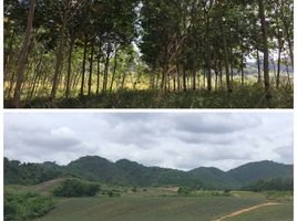  Land for sale in Nong Phlap, Hua Hin, Nong Phlap