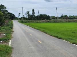  Grundstück zu verkaufen in Mueang Nakhon Pathom, Nakhon Pathom, Wang Taku, Mueang Nakhon Pathom