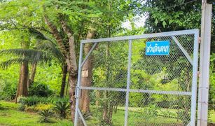 N/A Land for sale in Khi Lek, Chiang Mai 