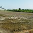  Land for sale in Krathum Lom, Nakhon Pathom, Krathum Lom, Sam Phran