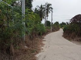  Land for sale in Kok Ko, Mueang Lop Buri, Kok Ko