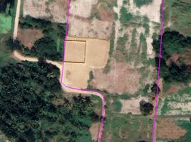  Grundstück zu verkaufen in Photharam, Ratchaburi, Nong Pho, Photharam