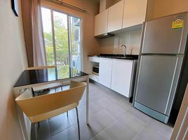 1 Bedroom Condo for rent at The Base Downtown, Wichit, Phuket Town, Phuket, Thailand