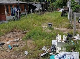  Land for sale in Thalang, Phuket, Si Sunthon, Thalang