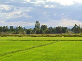  Land for sale in Nong Chang, Uthai Thani, Nong Chang, Nong Chang