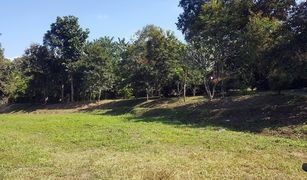 N/A Land for sale in Pa Pae, Chiang Mai 