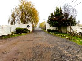  Land for sale in Maule, Rauco, Curico, Maule