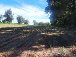  Land for sale in Pak Thong Chai, Nakhon Ratchasima, Tum, Pak Thong Chai