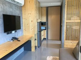 Studio Condo for rent at ReLife The Windy, Rawai