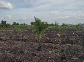  Grundstück zu verkaufen in Bang Bo, Samut Prakan, Bang Bo, Bang Bo, Samut Prakan